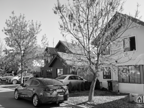 Gemini_Generated_Image_dzo9hjdzo9hjdzo9