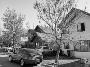 Gemini_Generated_Image_dzo9hjdzo9hjdzo9